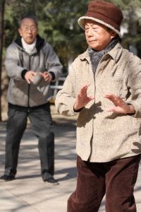 Tai Chi for Seniors - Chapter 1